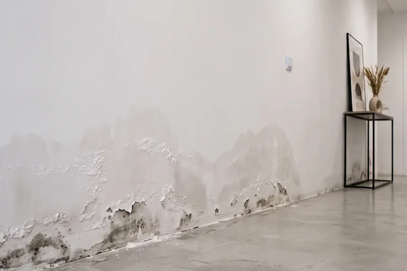 Manchas y sales (salitre) por capilaridad en la parte baja de un muro